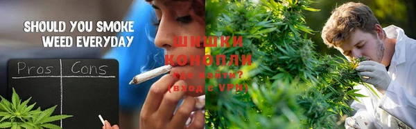 прущие крисы Белокуриха