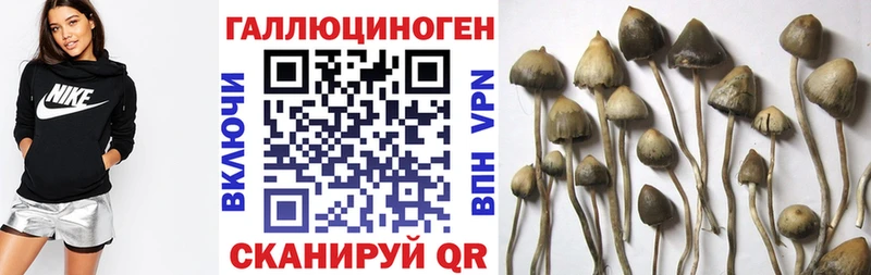 kraken tor  Балаково  Псилоцибиновые грибы мухоморы  наркошоп 